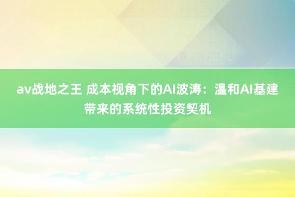 av战地之王 成本视角下的AI波涛：温和AI基建带来的系统性投资契机