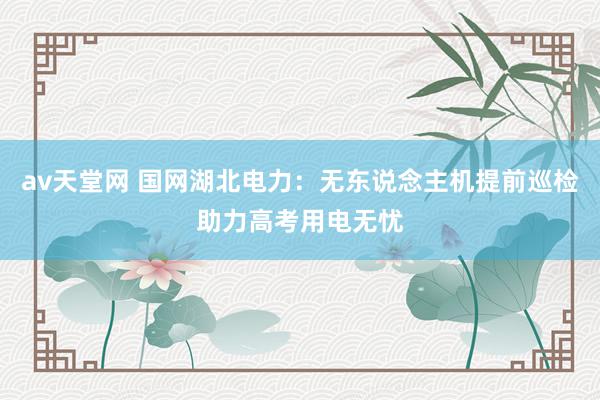 av天堂网 国网湖北电力：无东说念主机提前巡检助力高考用电无忧