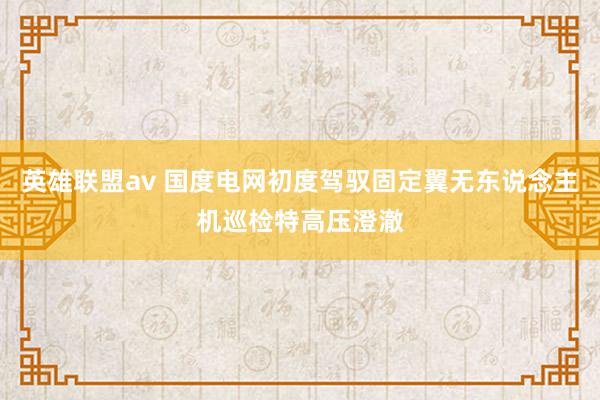 英雄联盟av 国度电网初度驾驭固定翼无东说念主机巡检特高压澄澈