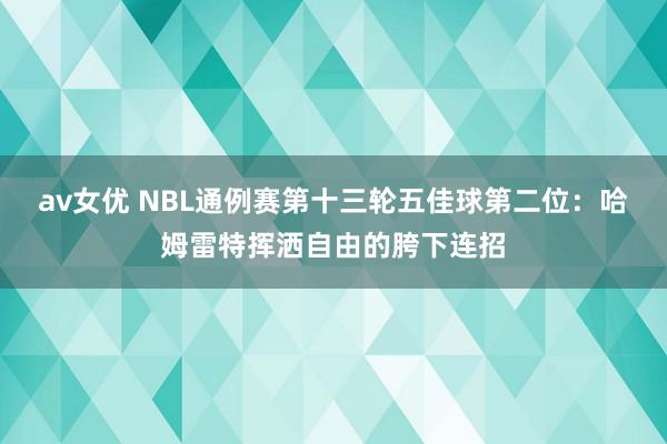 av女优 NBL通例赛第十三轮五佳球第二位：哈姆雷特挥洒自由的胯下连招