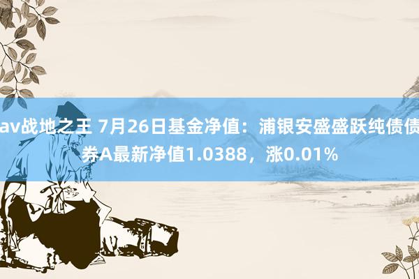 av战地之王 7月26日基金净值：浦银安盛盛跃纯债债券A最新净值1.0388，涨0.01%