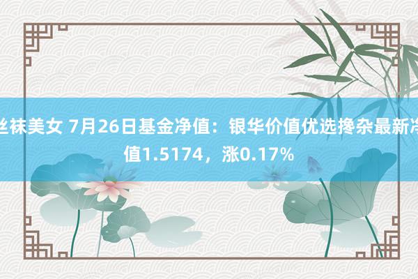 丝袜美女 7月26日基金净值：银华价值优选搀杂最新净值1.5174，涨0.17%