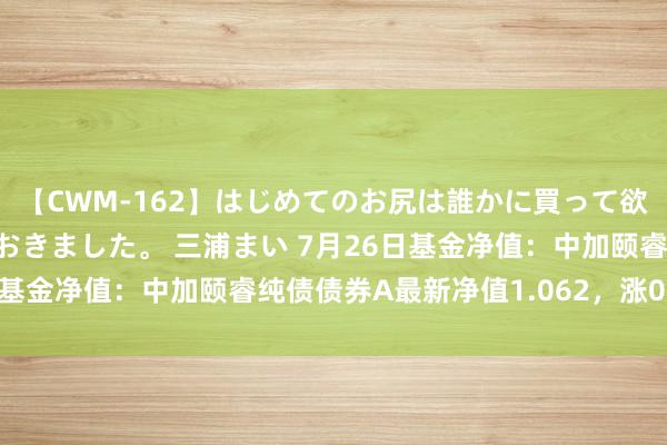 【CWM-162】はじめてのお尻は誰かに買って欲しくて今日までとっておきました。 三浦まい 7月26日基金净值：中加颐睿纯债债券A最新净值1.062，涨0.05%