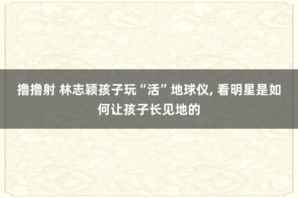 撸撸射 林志颖孩子玩“活”地球仪, 看明星是如何让孩子长见地的