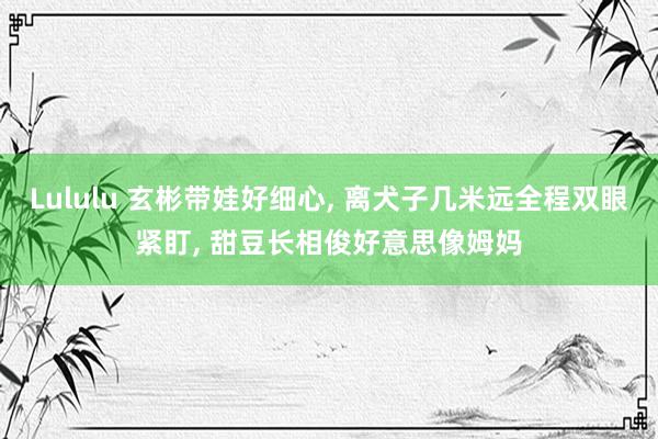 Lululu 玄彬带娃好细心, 离犬子几米远全程双眼紧盯, 甜豆长相俊好意思像姆妈