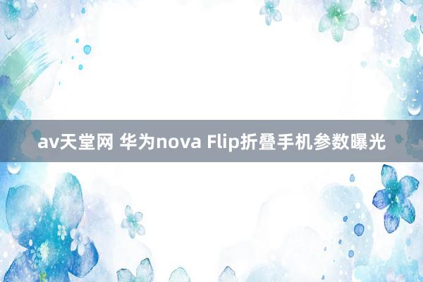 av天堂网 华为nova Flip折叠手机参数曝光