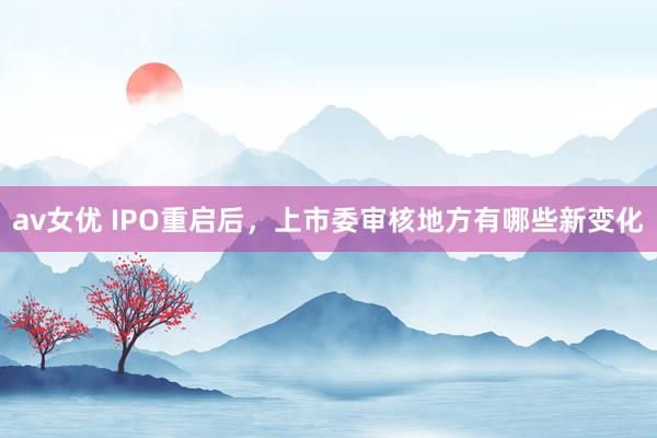 av女优 IPO重启后，上市委审核地方有哪些新变化