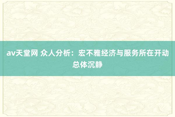 av天堂网 众人分析：宏不雅经济与服务所在开动总体沉静