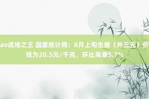 av战地之王 国度统计局：8月上旬生猪（外三元）价钱为20.5元/千克，环比高潮5.7%