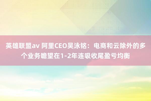 英雄联盟av 阿里CEO吴泳铭：电商和云除外的多个业务瞻望在1-2年连吸收尾盈亏均衡