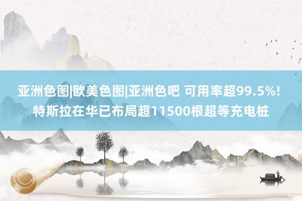 亚洲色图|欧美色图|亚洲色吧 可用率超99.5%! 特斯拉在华已布局超11500根超等充电桩