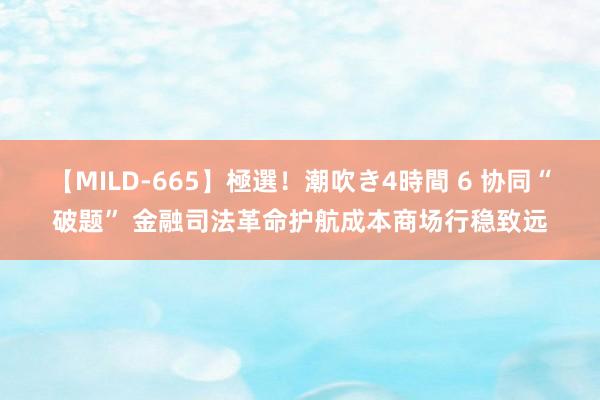 【MILD-665】極選！潮吹き4時間 6 协同“破题” 金融司法革命护航成本商场行稳致远